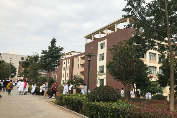 未标题-8
