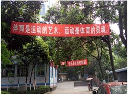 眉山市东坡区多悦高级中学校