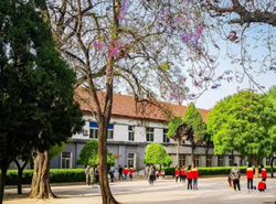 新格伦双语学校