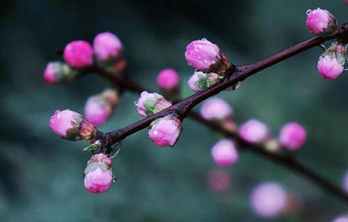即墨第二职业中等专业学校