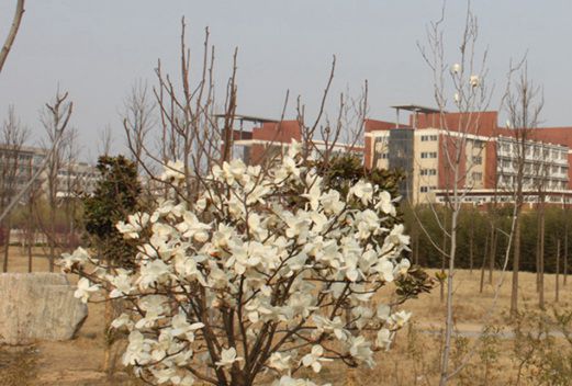 河南医药卫生学校