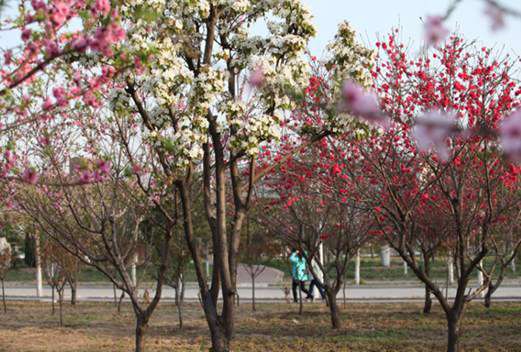 河南医药卫生学校