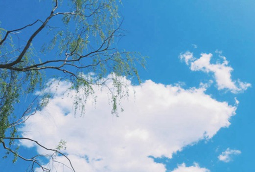 荆州职业技术学院