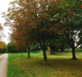 简阳平泉高级职业中学