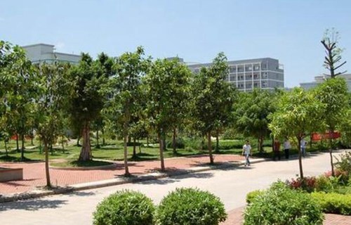 田阳县职业技术学校