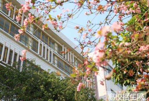 文山学院成人教育学院