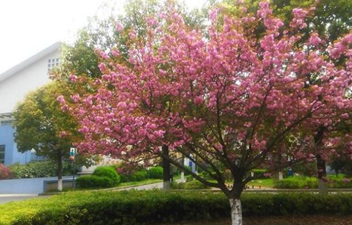 江苏泰兴技工学校