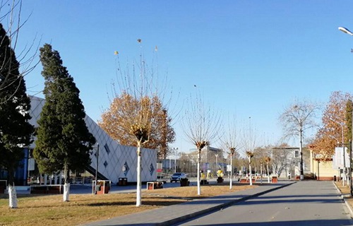 石林彝族自治县农机化技术学校