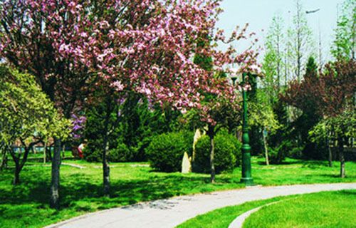 南京市总工会职工中等专业学校