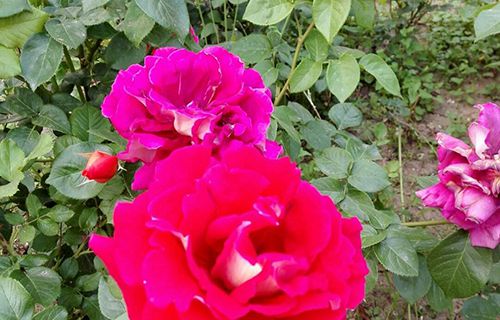 长治星海音乐艺术学校