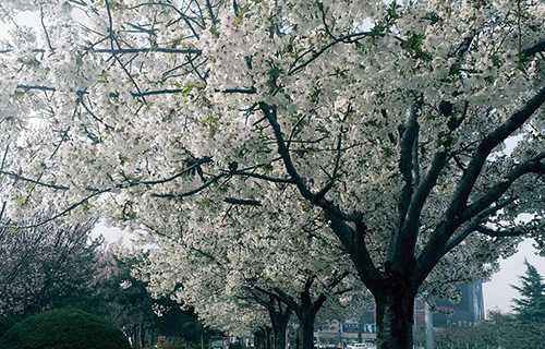 长治星海音乐艺术学校