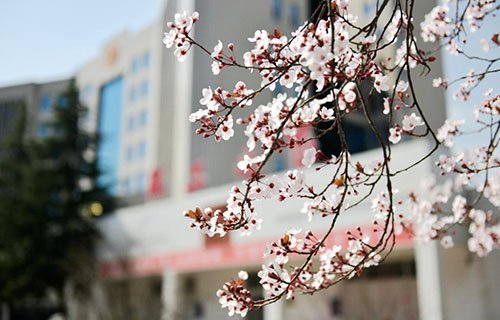 铁岭市涉外旅游学校