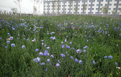 铁岭市涉外旅游学校