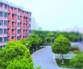 东海县职业中学