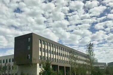 沈阳市悲鸿美术学校