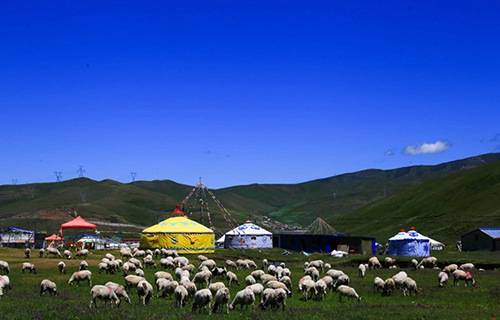 天祝藏族自治县卫生职业技术学校