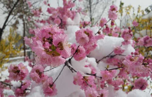 原平市星海艺术学校