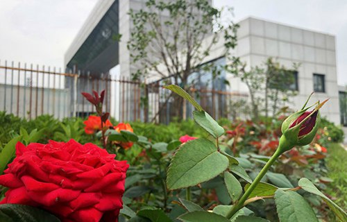 原平市英才中学(职教班)