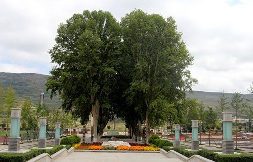 新疆农垦中专学校