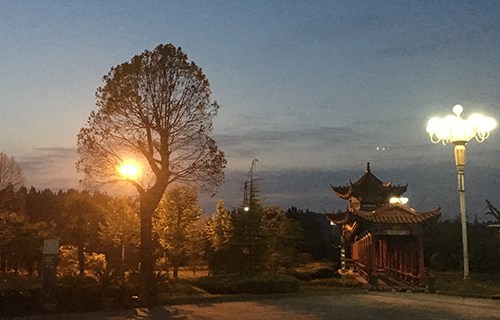 新疆农垦中专学校