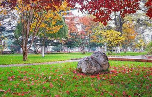 墨玉县职业技术高中