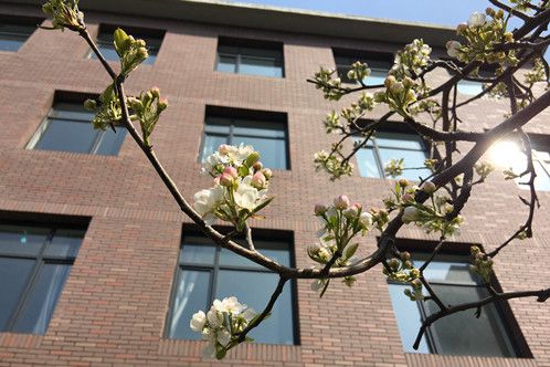 霍州华光育才职业学校襄汾县职教中心