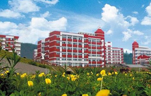 临潼区新丰高级职业中学