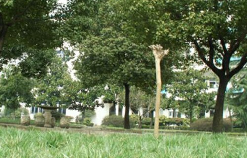 浙江电子工程学校