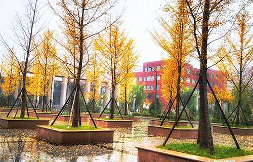 巢湖市青山高级职业中学