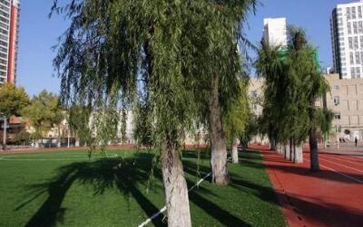 黑龙江商务学校