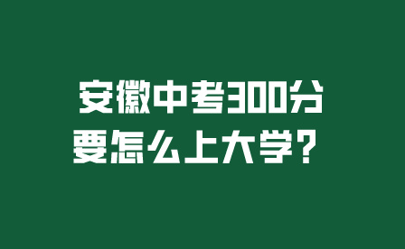 安徽中考