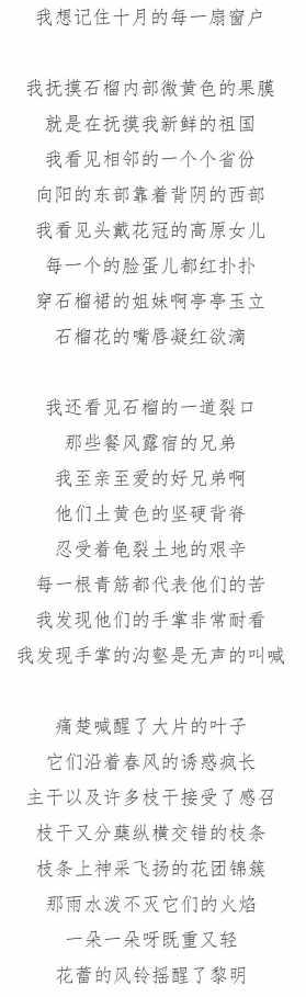 表（导）演类试题2